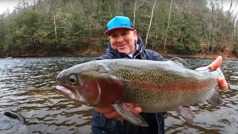 What You Need to Know About Missouri’s Trout Season in March
