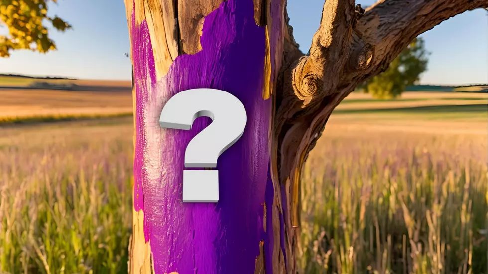 Many in Missouri Getting Busted for Ignoring Purple Paint Laws