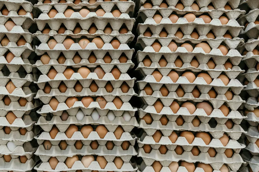 Missouri Alert: 6 Million Eggs Recalled for Salmonella