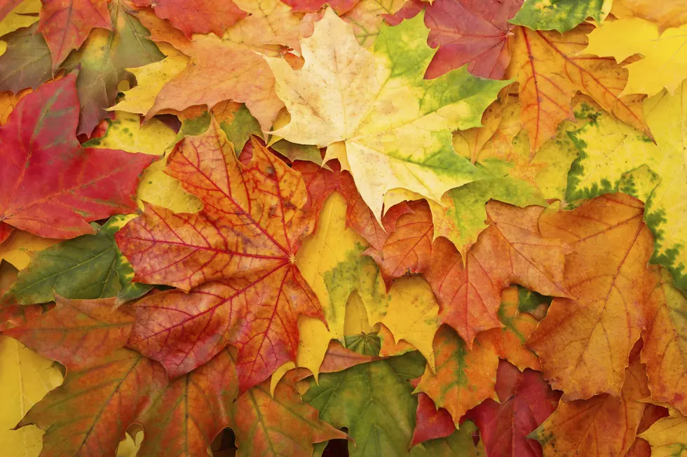 Early Frost and Snow? When Missouri Will Cool Off for Fall