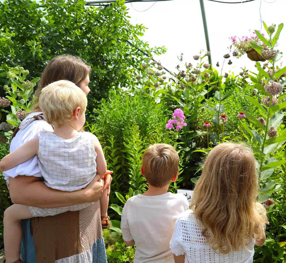 Wingin’ It: Locals Flutter to MU’s Butterfly Bonanza