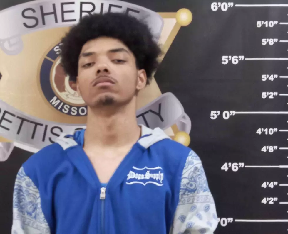 Iowa Man Charged with Tampering and Endangerment After Sedalia Police Chase